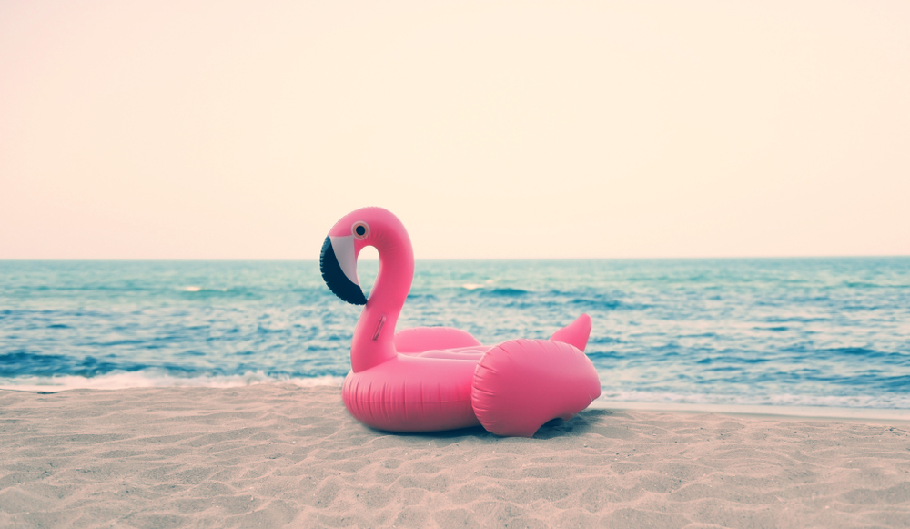 flamingo