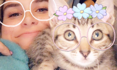 Snapchat Cats