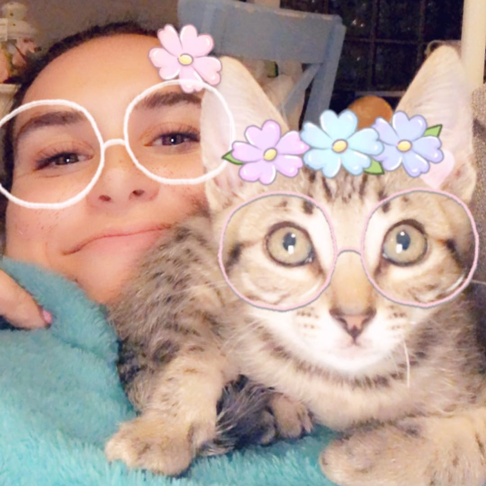 Snapchat Cats